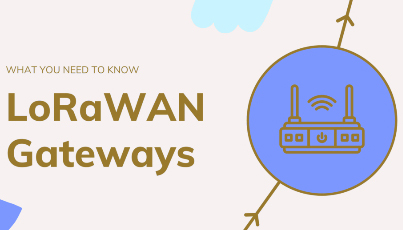 Exploring the Potential of SBCs as LoRaWAN Gateways in IoT Applications