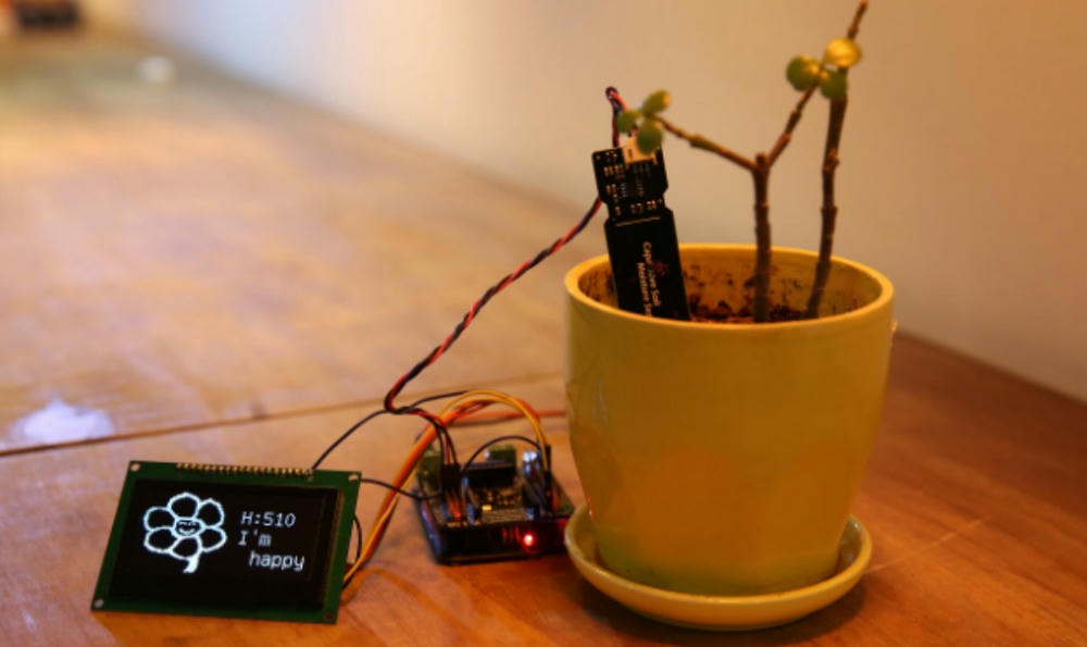 Capacitive soil moisture sensor measuring soil moisture