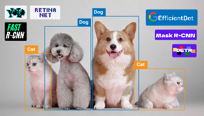 Object Detection Models: Comparing YOLOv10, DETR, and Top Models of 2024