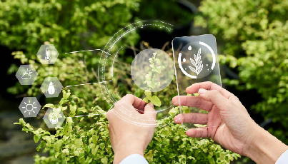 The Importance of Monitoring CO2 in Greenhouses: A Guide to Optimal Plant Growth