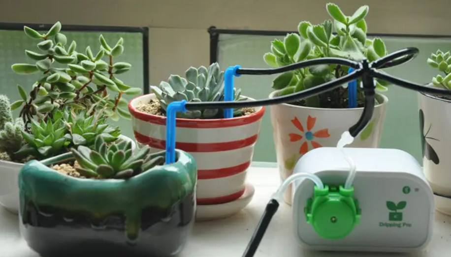 Building a Smart Home with LoRaWAN Technology