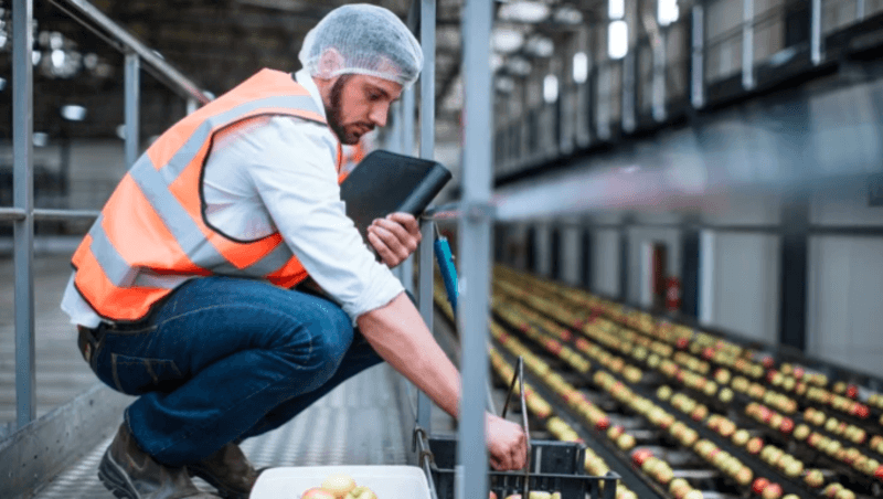 Electrochemical Sensors for Food quality control